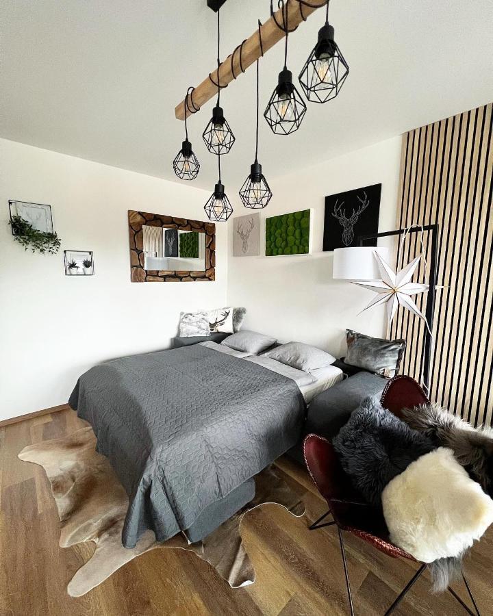 U Jelena Harrachov - Rodinny Apartman U Lesa S Garazi エクステリア 写真