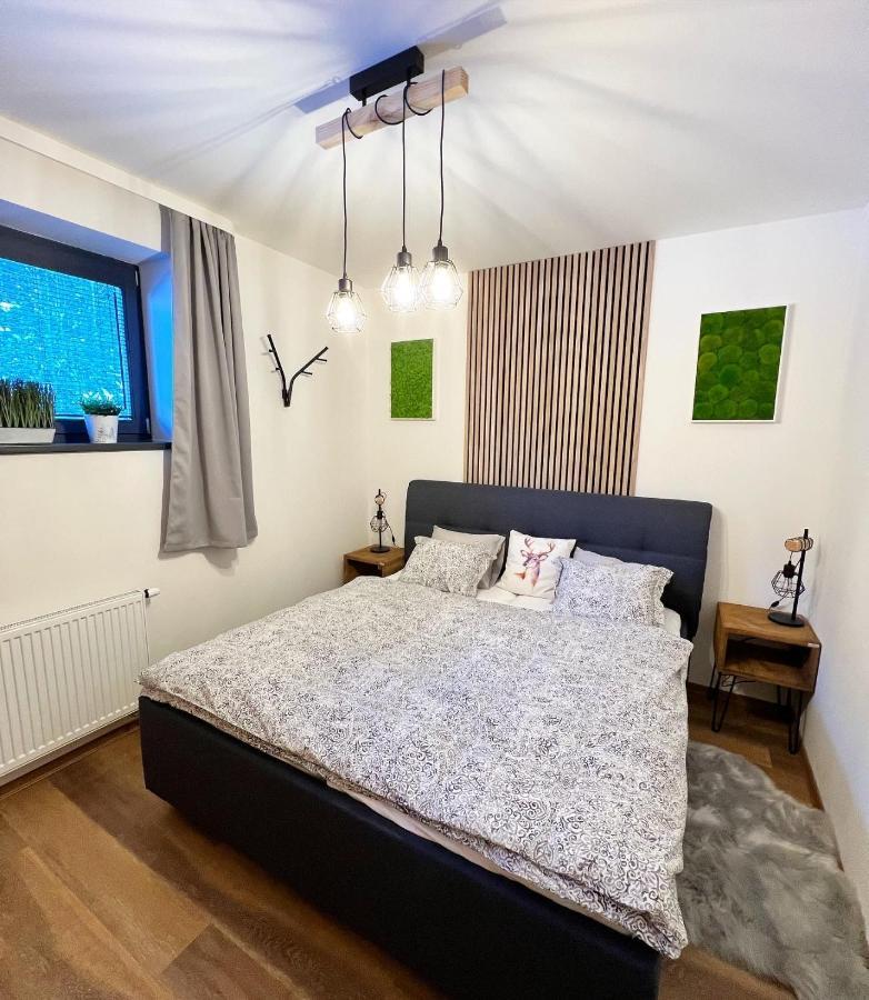 U Jelena Harrachov - Rodinny Apartman U Lesa S Garazi エクステリア 写真