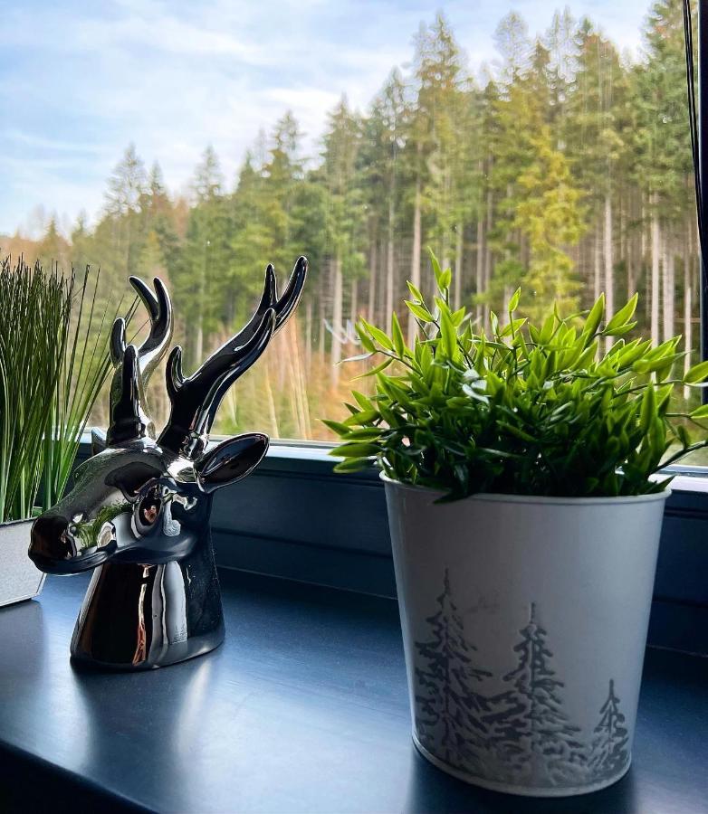 U Jelena Harrachov - Rodinny Apartman U Lesa S Garazi エクステリア 写真